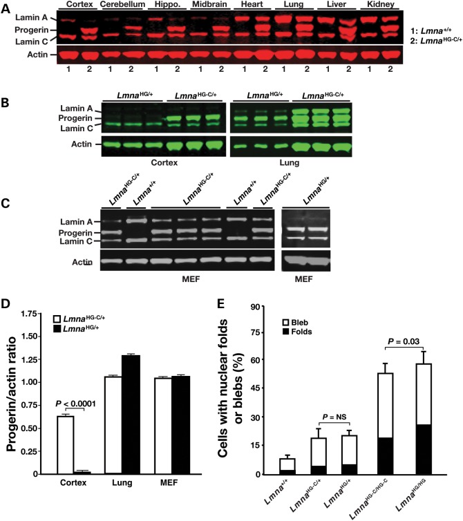 Figure 2.