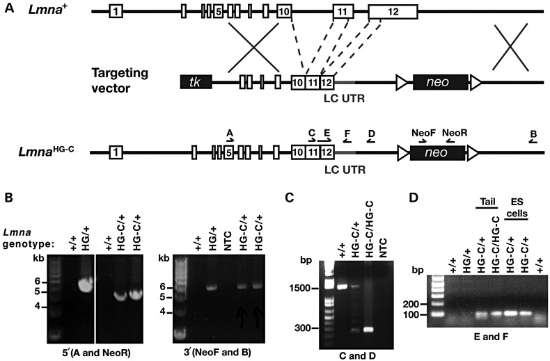 Figure 1.