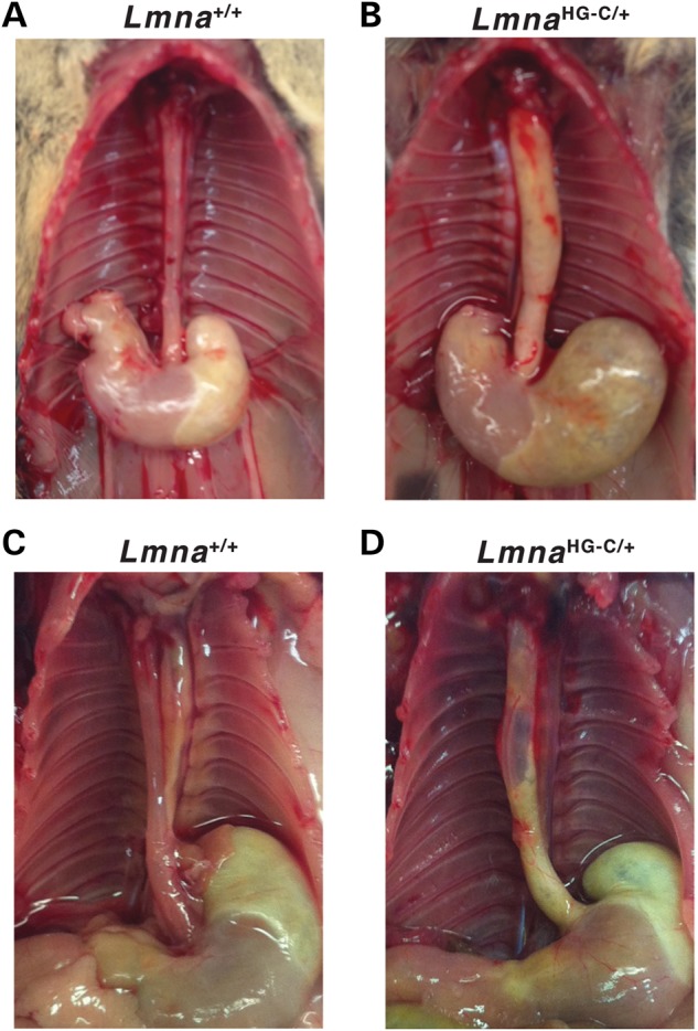 Figure 5.