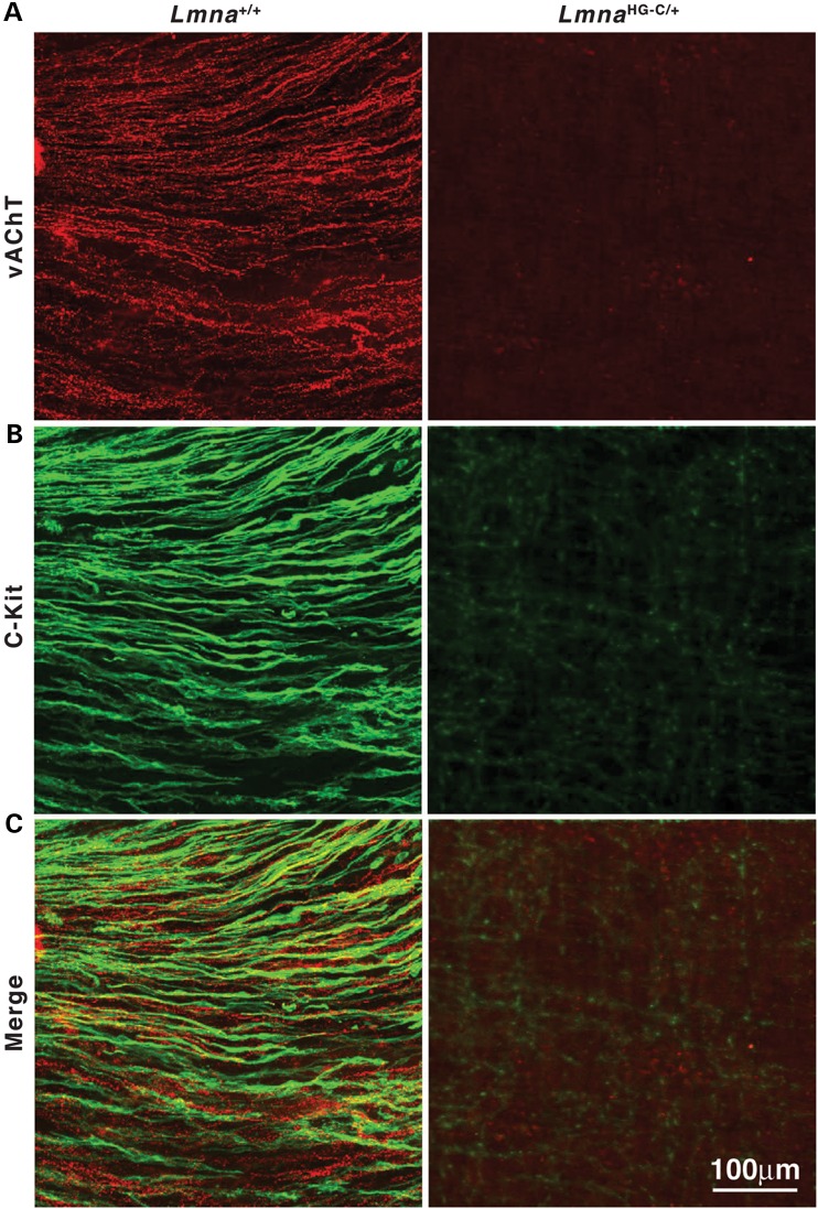 Figure 10.