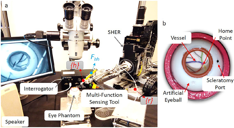 Fig. 3: