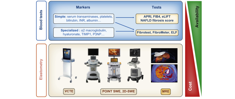 Fig. 2