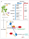 Figure 3 -