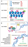 Figure 4 -