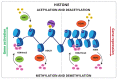 Figure 1 -