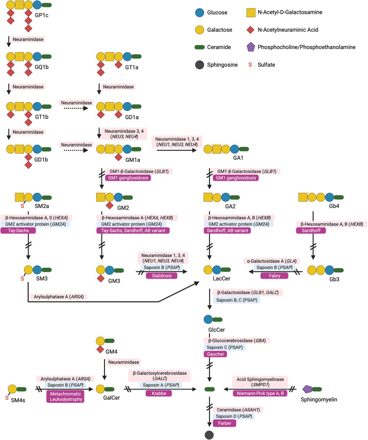 Figure 3.