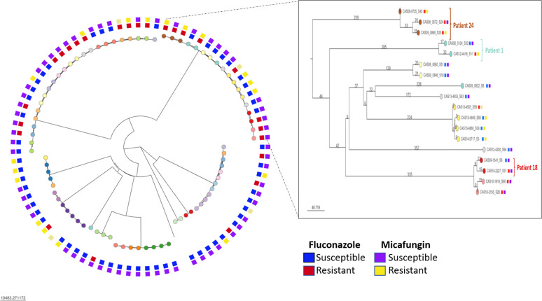 Fig 2