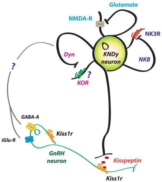 Fig. 15.4