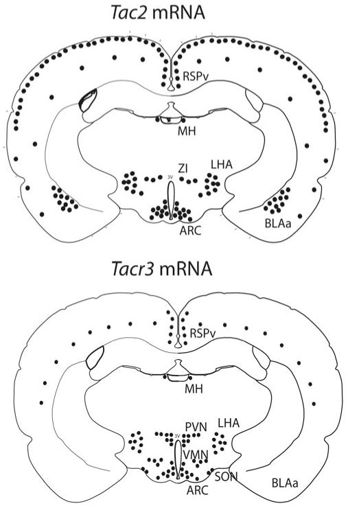 Fig. 15.2