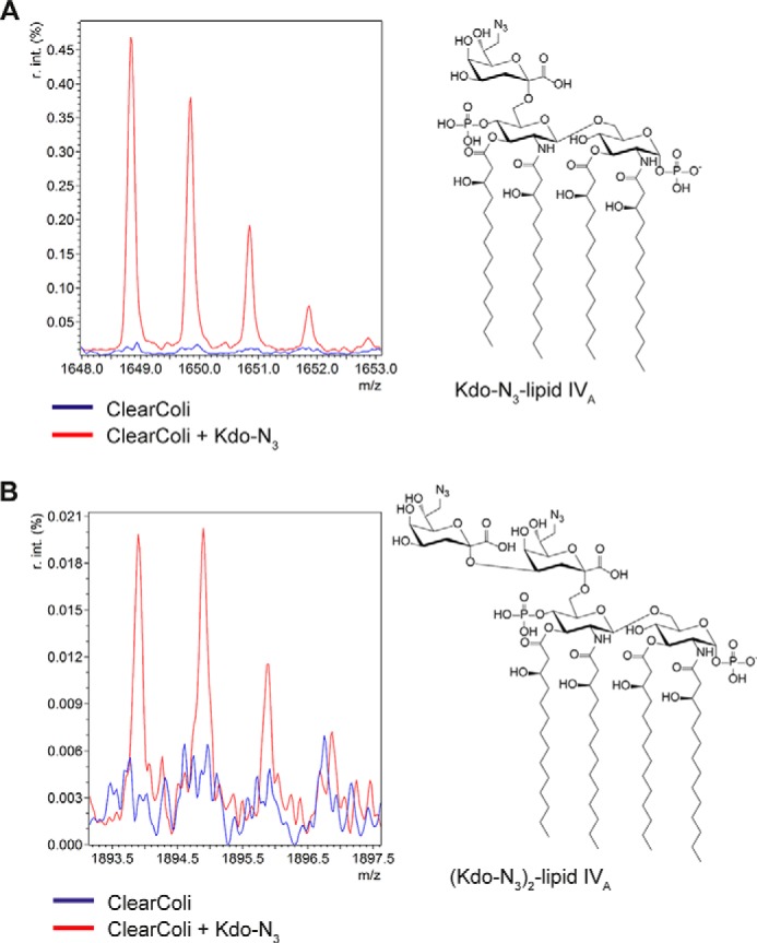 Figure 5.