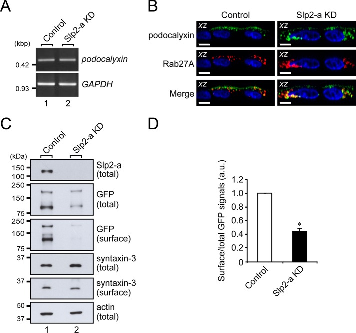 FIGURE 4: