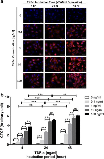 Fig. 4