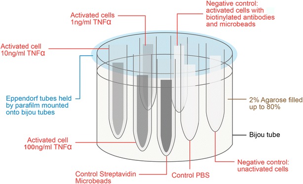 Fig. 2