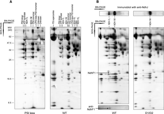 Figure 6.