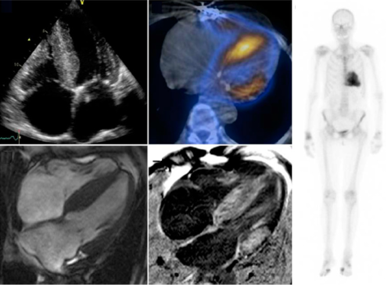 Fig. (5)