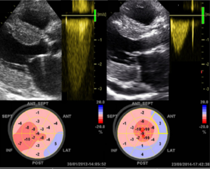 Fig. (3)