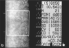 Figure 3b