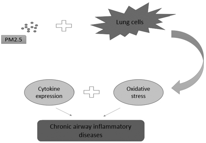 Figure 2.