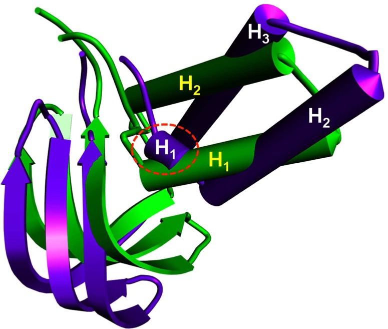 FIG. 11.