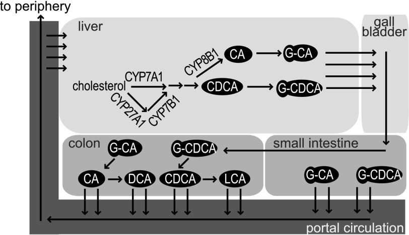 FIG. 1.