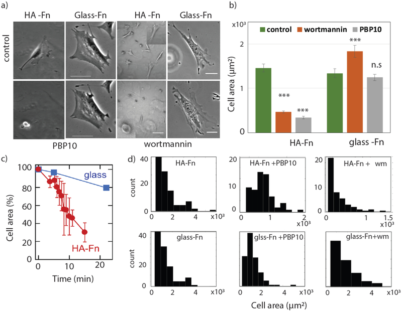 Figure 4: