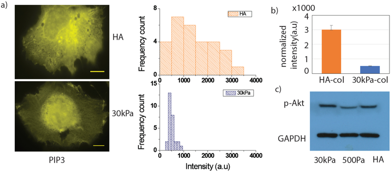 Figure5