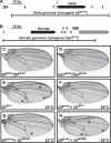Figure 6—figure supplement 1.