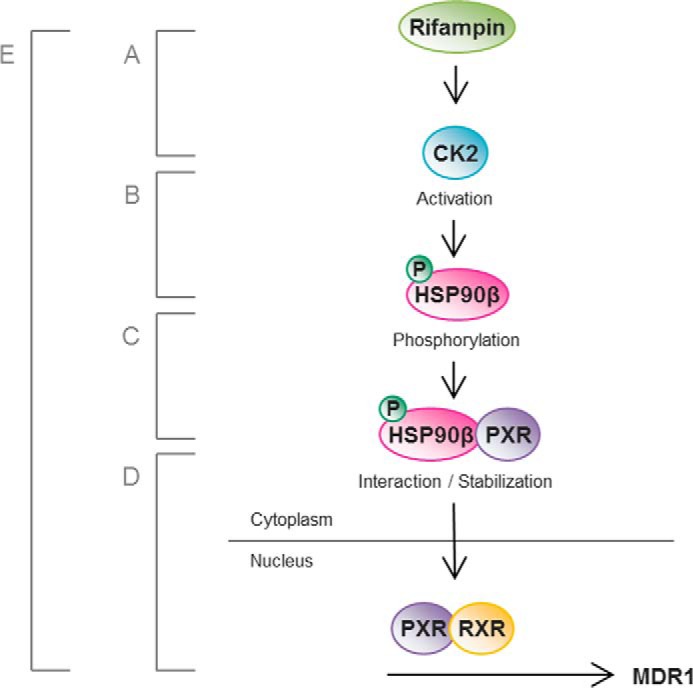 FIGURE 10.