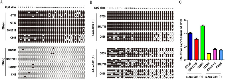 FIG 2