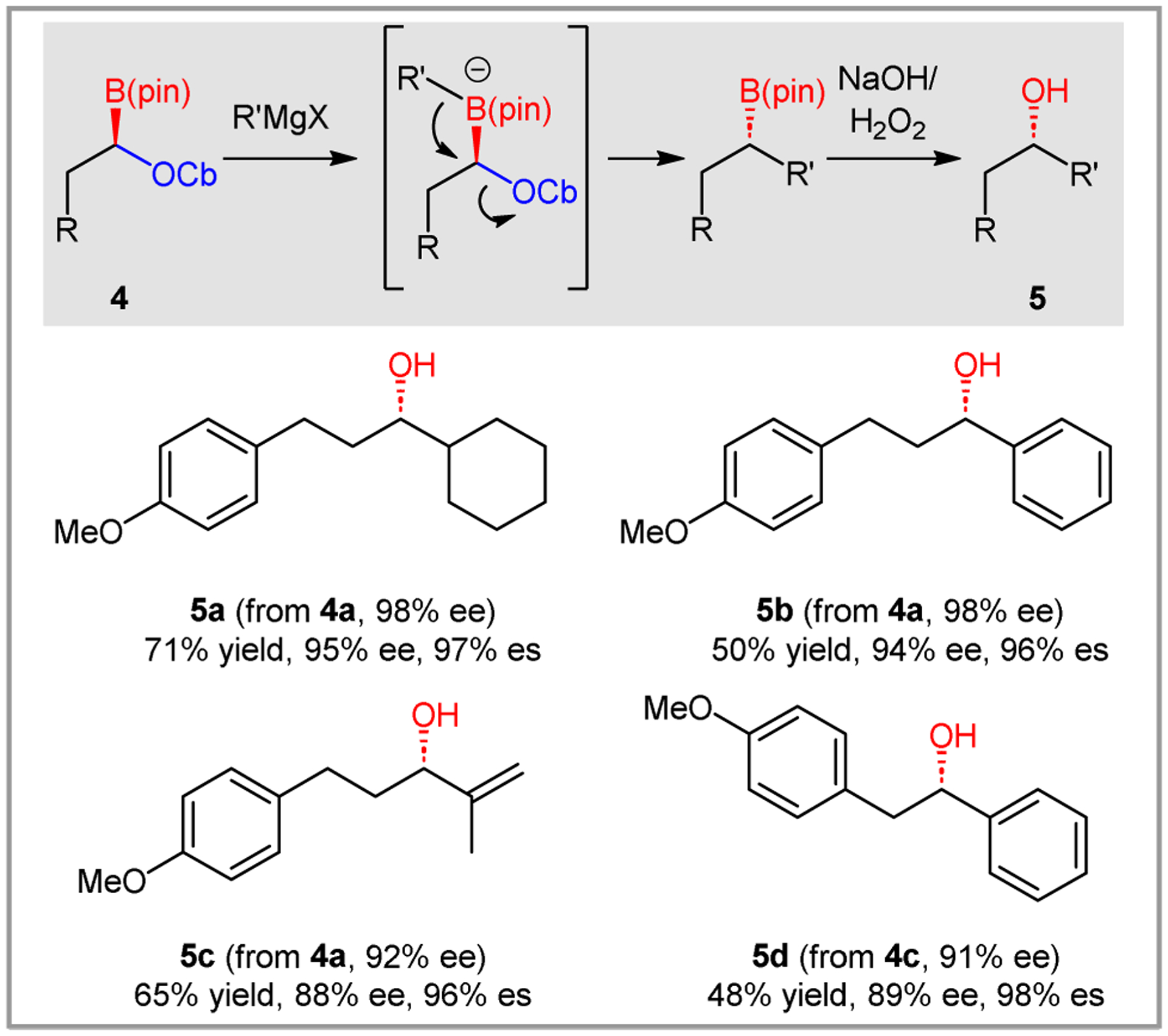 Scheme 5