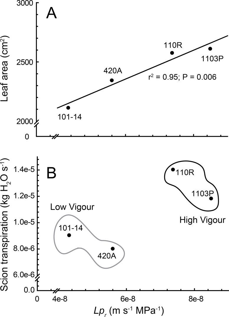 Fig. 8. 