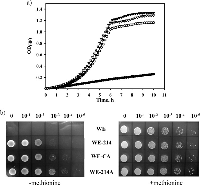 Fig 5