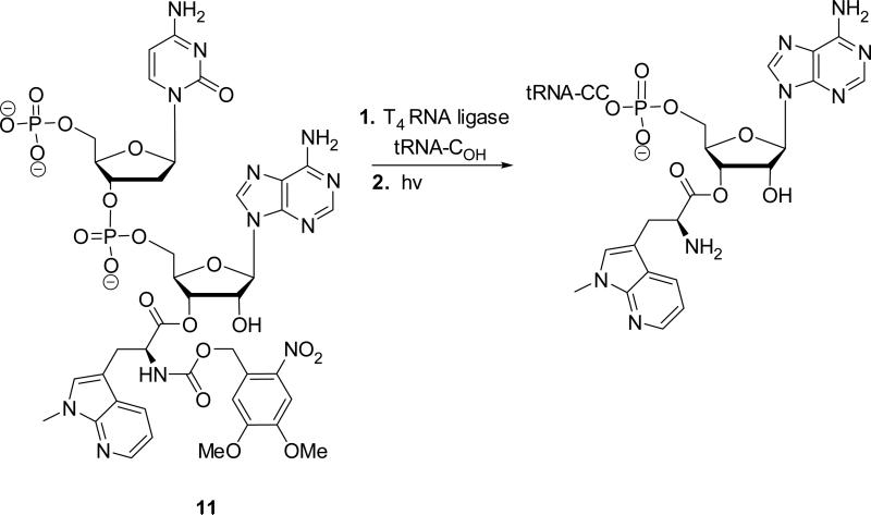 Scheme 2