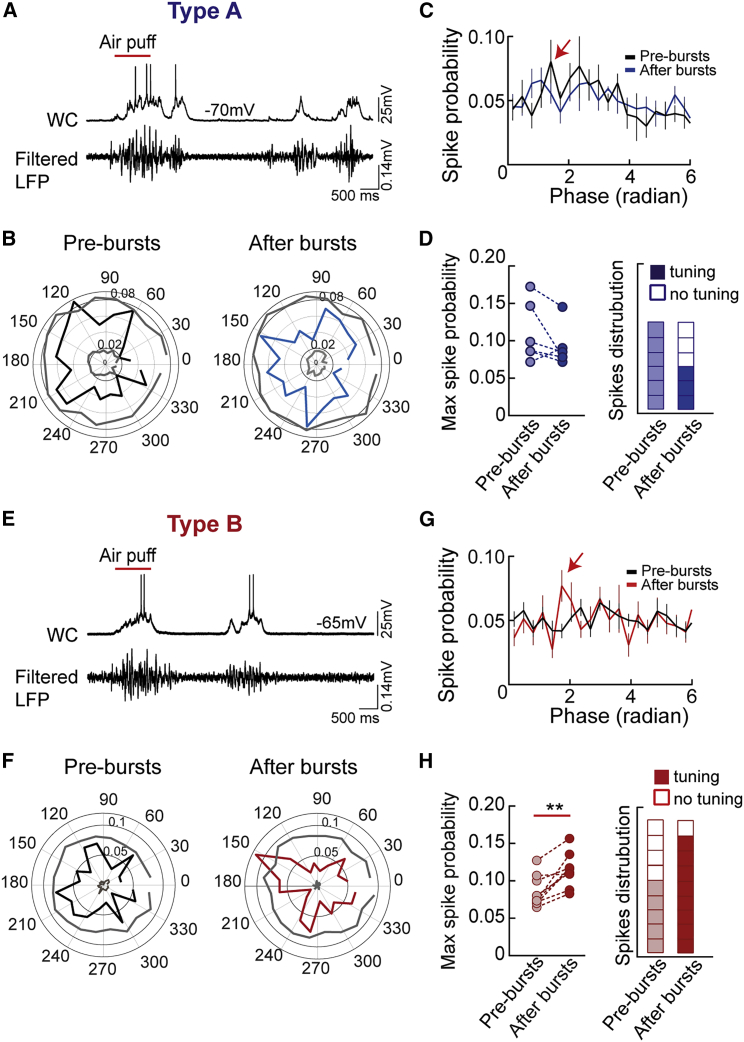 Figure 6