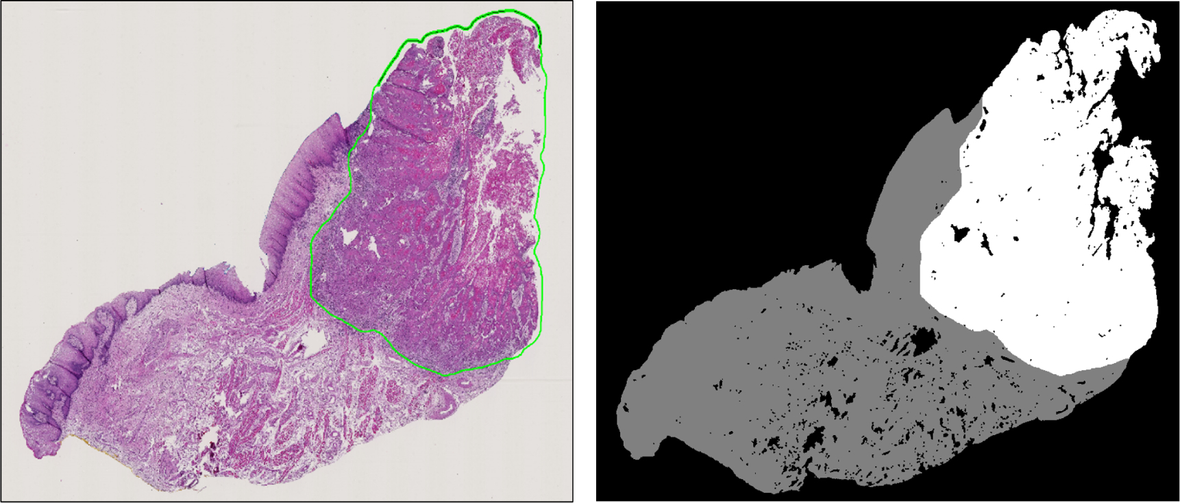 Figure 1: