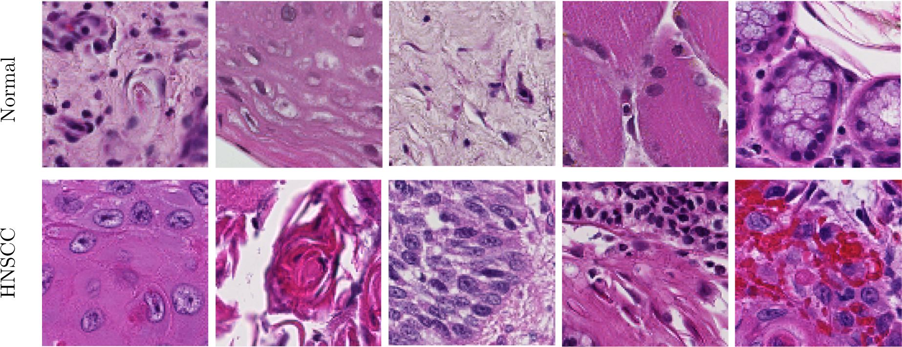 Figure 2: