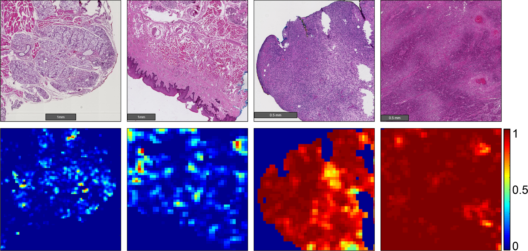 Figure 5: