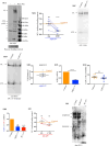Supplementary Fig. S1