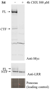 Supplementary Fig. S4