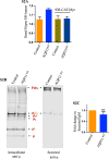 Supplementary Fig. S2