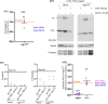 Supplementary Fig. 7