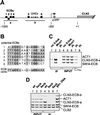 FIG. 7.