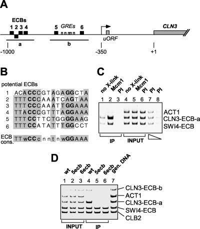 FIG. 7.