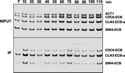 FIG. 8.