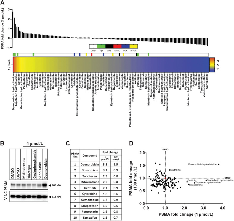 Figure 1. Topoisomerase-2 inhibitors upregulate PSMA in prostate cancer cells. LNCaP95 cells were treated individually for 48 hours with 1 μmol/L of 147 compounds available in the NIH FDA-approved anticancer drug. Lysates were then probed for PSMA and vinculin (VINC) expression, the latter used to normalize PSMA expression per sample. Densitometry of PSMA blots, normalized to VINC are expressed in (A) with fold change of PSMA in samples centered at DMSO = 0 (red in the heatmap). Topoisomerase-2 inhibitors (TopII) (green), Androgen receptor signaling inhibitors (ARSi; black), PI3K inhibitors (PI3K; blue), and mTOR inhibitors (yellow) are highlighted for reference in the heatmap. Every other compound is labeled in the heat map beginning from daunorubicin due to space. An example plot demonstrating PSMA upregulation in response to daunorubicin (B). Topoisomerase-2 inhibitors made up 3 of the top 10 PSMA inducing compounds tested at 1 μmol/L, and the respective changes in the 100 nmol/L screen are noted in the right column (C). Comparison of fold change of PSMA at 100 nmol/L and 1 μmol/L identified daunorubicin as the most consistent inducer of PSMA expression in the screen (D). DMSO is demarcated by a dashed line and a red circle at the intersection.