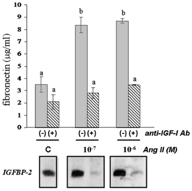 Fig. 9