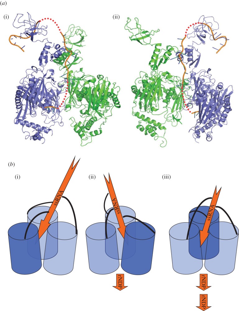 Figure 5.