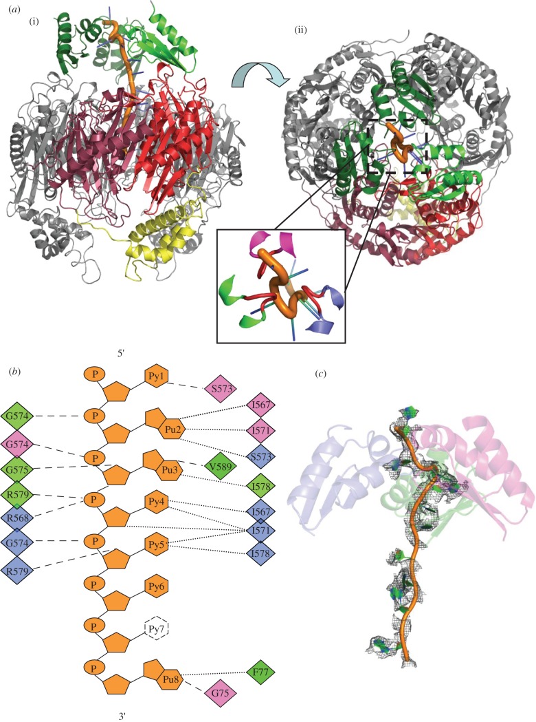 Figure 2.