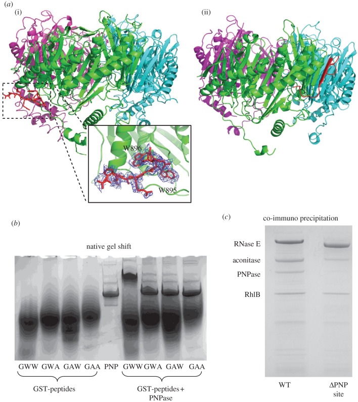 Figure 4.