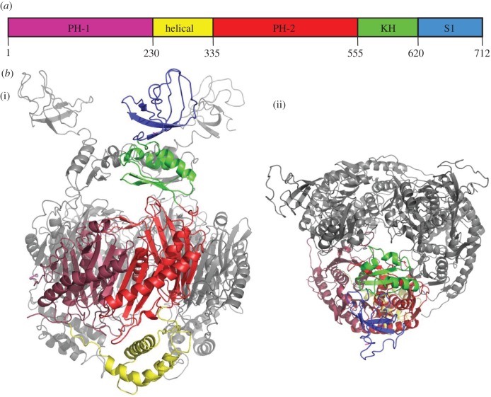 Figure 1.